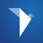 ORIGOSafeDriver icon