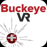 BuckeyeVR Electric Field VR icon