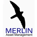 Merlin Portal icon