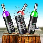 Real Bottle Shooting Expert Gun Shooter icon