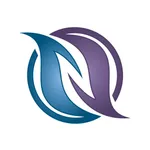 N-FLUX DC icon