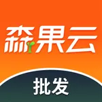 森果批发易-简单好用的批发经营管理工具 icon