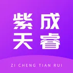 紫成天睿 icon