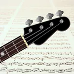 Reading Bass sheet music icon