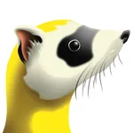 Ferret Tools icon