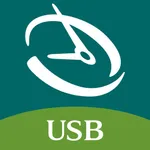 USB Business Mobile icon