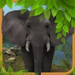 Wild Elephant Simulator 3D icon