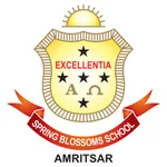 Spring Blossoms School icon