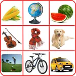 Learning English - Basic Words icon