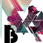 Belgium Music Radio ONLINE icon