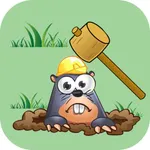 Whack Crazy Mole icon