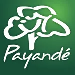 Payandé icon