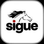 Sigue Money Transfer icon