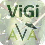 Vigi-AvA icon