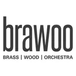 BRAWOO – Brass Wood Orchestra icon