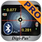 Digi-Pas Level Paid icon