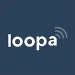 Network Analyzer Master: Loopa icon