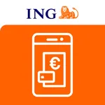 ING Commercial Card icon