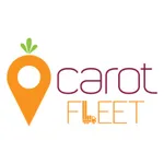 Carot Fleet icon