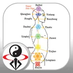 Acupressure Massage Qigong icon