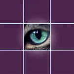 Eyes Test Animals icon