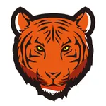 TIGERSECU HD VIEWER icon