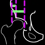 ReimersIndexApp icon