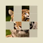 Pic Quiz: Fun Word Trivia Game icon