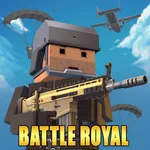 Pixel Battle Royale icon