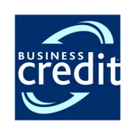 Business Credit icon