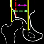 CongruityIndex icon