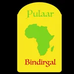 Bindirgal icon