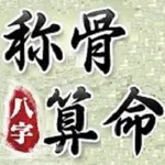 八字稱骨 icon