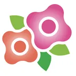 hana hanaグループ icon