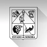 Recaudación Sonora icon