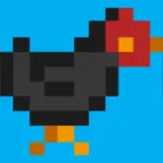 Run Mr Chicken icon