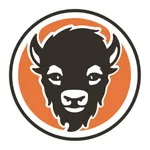 Wings and Rings - US icon