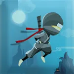 Flight Ninja icon