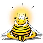 BeeZone icon