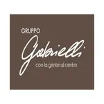 Magazzini Gabrielli Spa icon