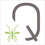 Qista icon