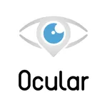 Ocular icon