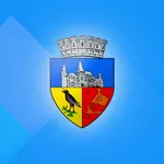 Municipiul Hunedoara Sesizări icon