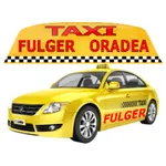 TAXI Fulger Oradea icon