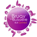 BLB Connect icon