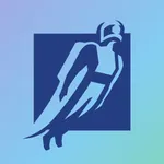 Professional Super icon