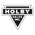 Holby Valve icon