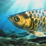 Arowana raising from fry icon