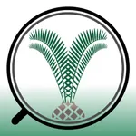 SA Cycads icon