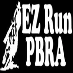 EZRunPBRA icon